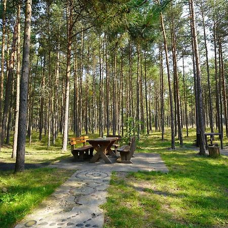 Forest Cottage Neringa Kültér fotó